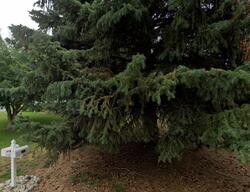 Pre-foreclosure in  BREEZE ST Craig, CO 81625