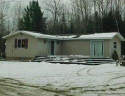 Pre-foreclosure in  THIEM CANAL RD Alpena, MI 49707