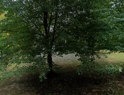 Pre-foreclosure in  BAMM HOLLOW RD Middletown, NJ 07748