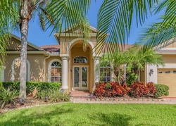 Pre-foreclosure in  ASHINGTON PARK DR Tampa, FL 33647