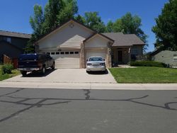 Pre-foreclosure Listing in STONECROP CIR CASTLE ROCK, CO 80109