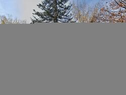 Pre-foreclosure in  WASHINGTON ST Lake In The Hills, IL 60156