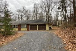 Pre-foreclosure Listing in MARBLE HILL RD GREAT MEADOWS, NJ 07838