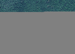 Pre-foreclosure in  PINE HILL RD Orange, MA 01364