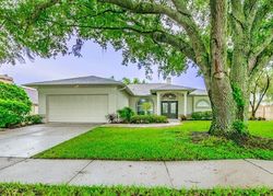Pre-foreclosure in  CYPRESS TRAIL DR Lutz, FL 33549
