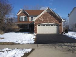 Pre-foreclosure Listing in CAMERON DR HAMPSHIRE, IL 60140