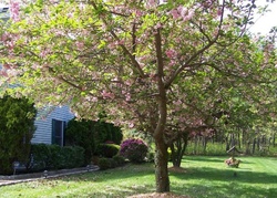  Delaware Ave, Manchester Township NJ