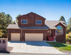 Pre-foreclosure Listing in LT WILLIAM CLARK RD PARKER, CO 80134