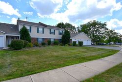 Pre-foreclosure Listing in N DEER RUN DR PALATINE, IL 60067