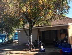Pre-foreclosure in  SICHEL ST Los Angeles, CA 90031