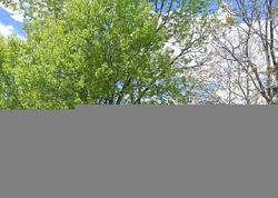 Pre-foreclosure in  BERYL LN Loveland, CO 80538