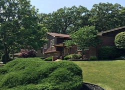 Pre-foreclosure Listing in W PARK LANE DR PALOS HEIGHTS, IL 60463