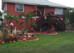 Pre-foreclosure in  LAGOON DR Palm Harbor, FL 34683