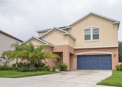Pre-foreclosure in  TROPICAL KINGBIRD WAY Riverview, FL 33579
