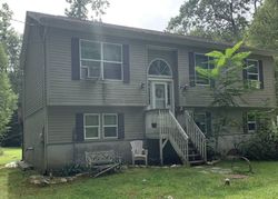 Pre-foreclosure in  DECKERTOWN TPKE Montague, NJ 07827
