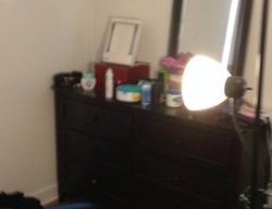 Pre-foreclosure in  W 110TH PL Chicago, IL 60655