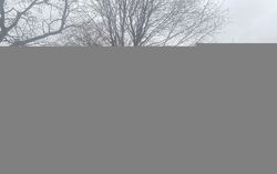 Pre-foreclosure Listing in W PALM DR GLENWOOD, IL 60425