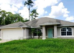  Heartpine Dr, Middleburg FL