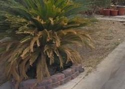  E Oakey Blvd, Las Vegas NV