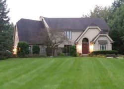 Pre-foreclosure Listing in S JANAS PKWY HOMER GLEN, IL 60491