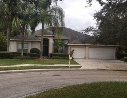 Pre-foreclosure in  WYNTHORNE DR Tampa, FL 33647