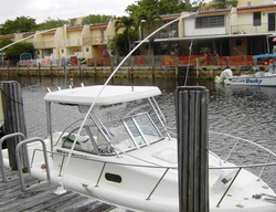 Pre-foreclosure in  NE 166TH ST  North Miami Beach, FL 33160