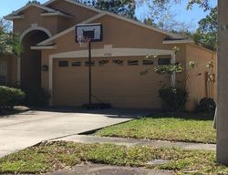 Seacove Dr, Lutz FL
