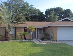 Pre-foreclosure in  MAYFAIR CT Tampa, FL 33634