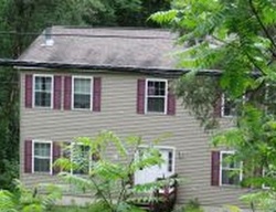 Pre-foreclosure Listing in PARKER HOLLOW RD BARNEVELD, NY 13304