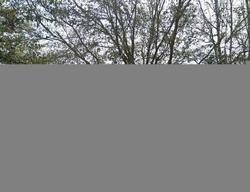 Pre-foreclosure in  HORNLAKE CIR Ocoee, FL 34761