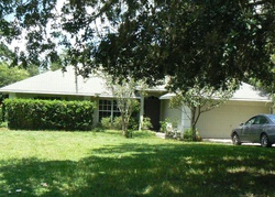 Pre-foreclosure Listing in LAKE EMMA DR GROVELAND, FL 34736