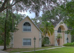  Leprechaun Dr, Riverview FL