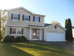 Pre-foreclosure Listing in SOUTHHAMPTON DR ISLAND LAKE, IL 60042