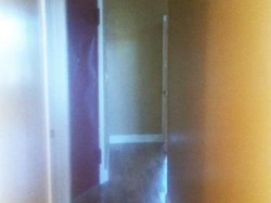 Pre-foreclosure in  PARK PL Brooklyn, NY 11216