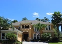 Pre-foreclosure in  LOGGERHEAD WAY Wesley Chapel, FL 33544