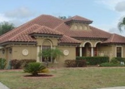 Pre-foreclosure Listing in MERLOT CIR SEFFNER, FL 33584