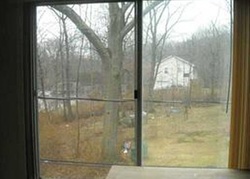 Pre-foreclosure in  DOGWOOD LN Monroe, NY 10950