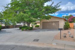 Pre-foreclosure in  GENERAL BRADLEY ST NE Albuquerque, NM 87111