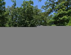 Pre-foreclosure Listing in CUTTER CT CHAPIN, SC 29036