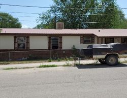 Pre-foreclosure Listing in MINNESOTA AVE PAONIA, CO 81428