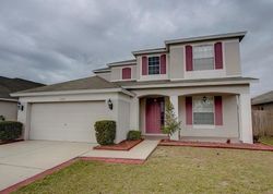  Amber Sky Pl, Riverview FL