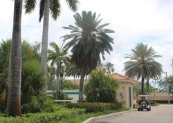 Pre-foreclosure in  NW 79TH AVE A Miami, FL 33166