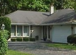 Pre-foreclosure Listing in HAWESWOOD DR CRETE, IL 60417