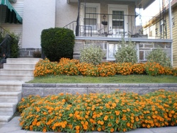  Lasher Rd, Drexel Hill PA