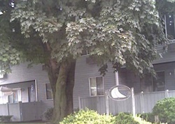 Pre-foreclosure in  HARBOR AVE APT D1 Bridgeport, CT 06605