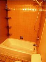 Pre-foreclosure in  W 112TH PL Alsip, IL 60803