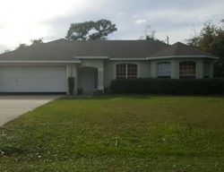 Pre-foreclosure Listing in UMBRELLA TREE DR EDGEWATER, FL 32132