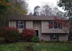 Pre-foreclosure Listing in GREEN RD PERRY, OH 44081