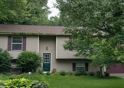 Pre-foreclosure Listing in GREEN RD PERRY, OH 44081