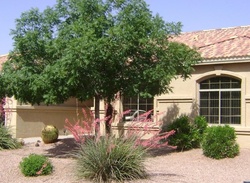  S Stoney Path Dr, Chandler AZ